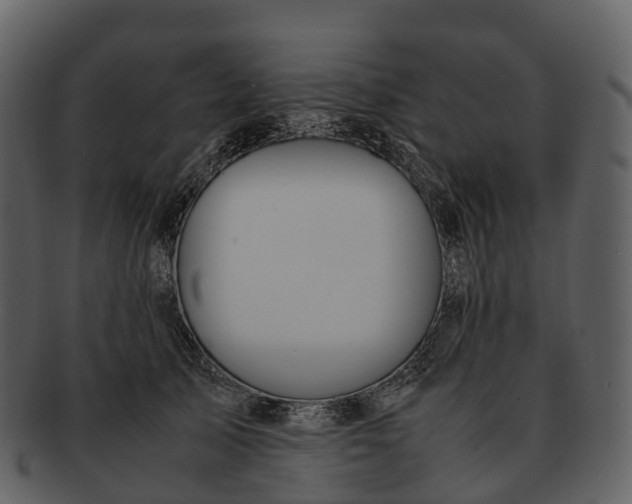 X0000092330705200710051315