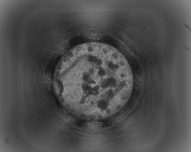 X0000092330707200710051315