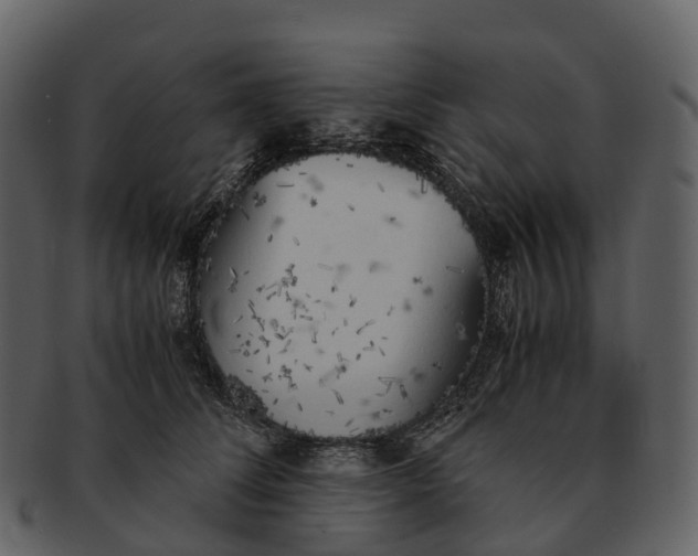 X0000092330708200710051315