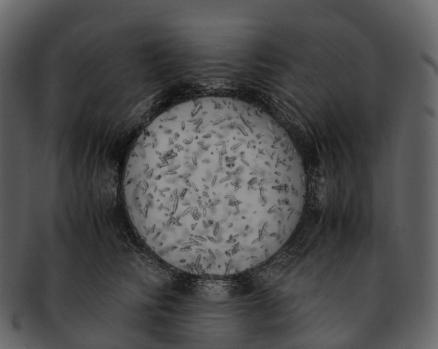 X0000092330710200710051315