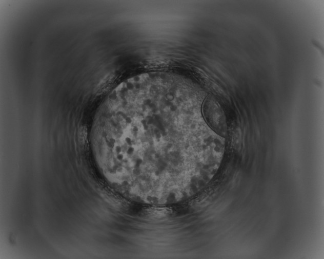 X0000092330711200710051315