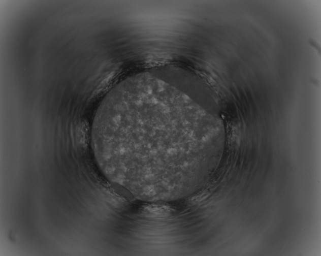X0000092330712200710051315