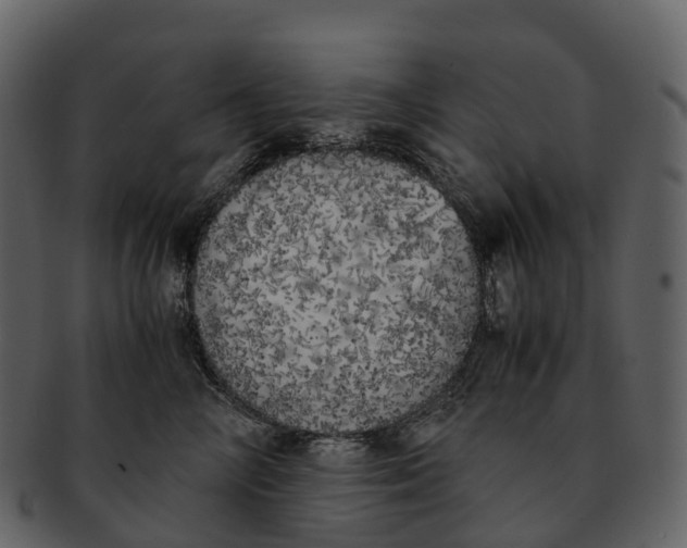 X0000092330714200710051315