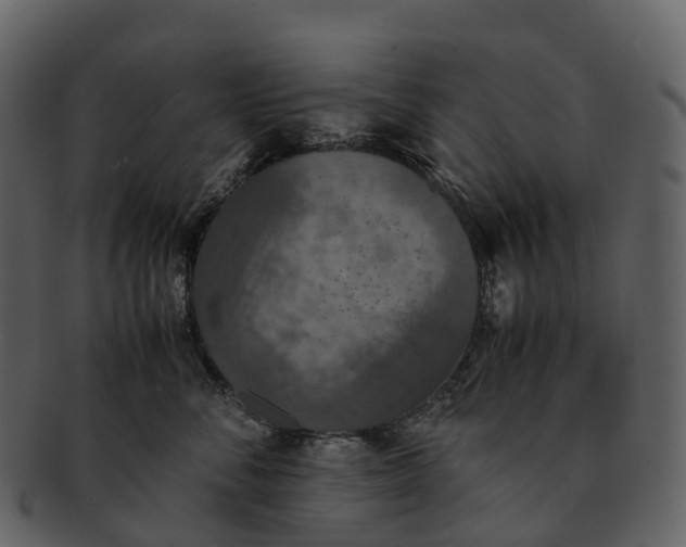 X0000092330716200710051315