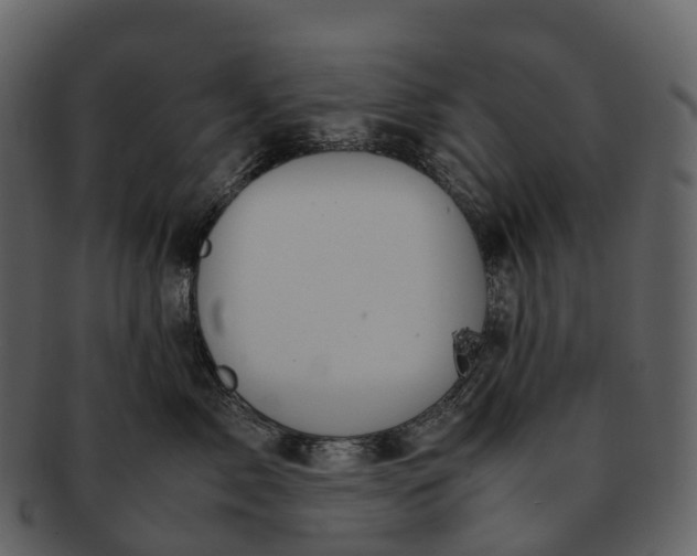 X0000092330717200710051315