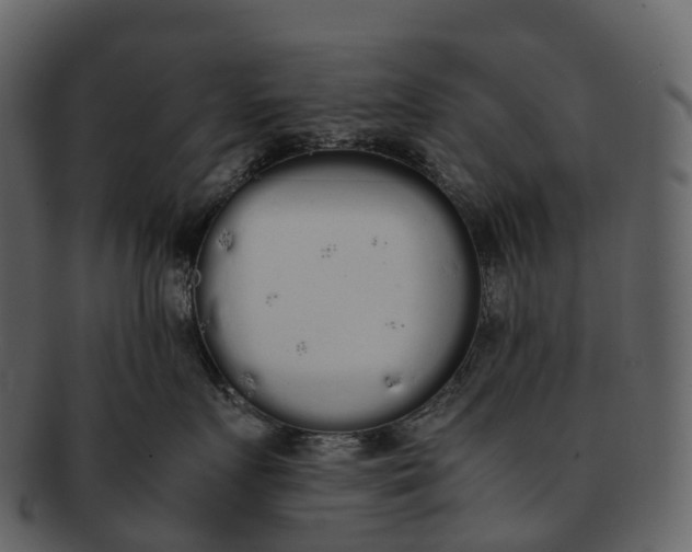 X0000092330719200710051315