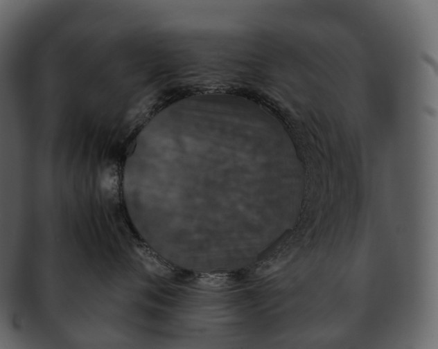 X0000092330720200710051315