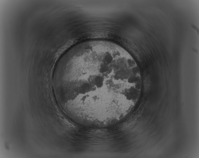 X0000092330721200710051314