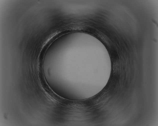 X0000092330722200710051314