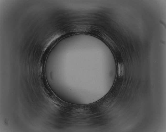 X0000092330723200710051314