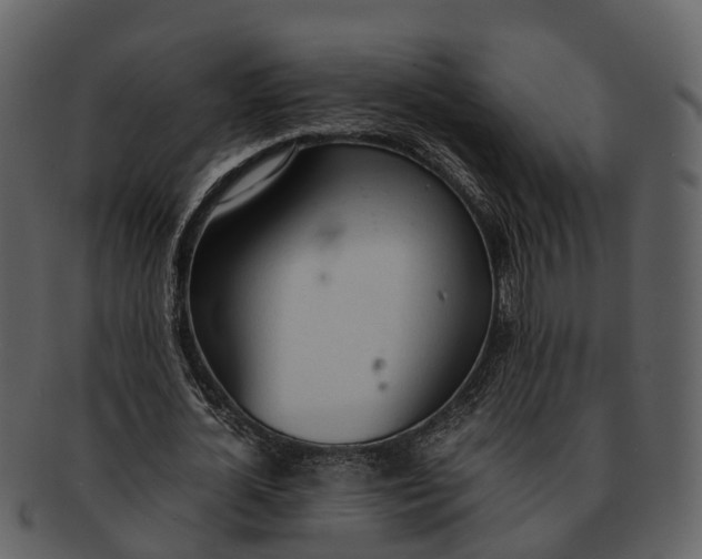 X0000092330724200710051314