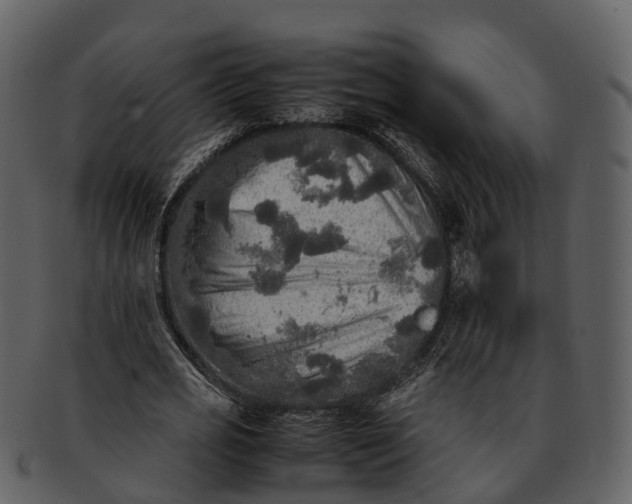 X0000092330725200710051314