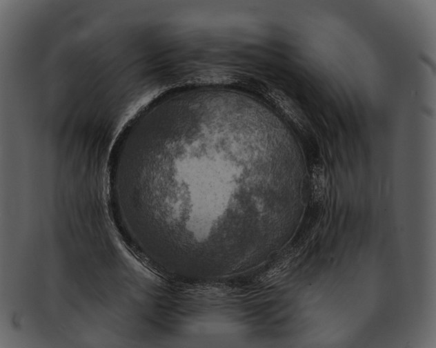 X0000092330726200710051314
