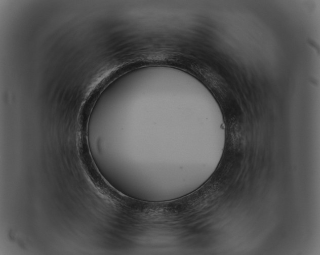X0000092330728200710051314