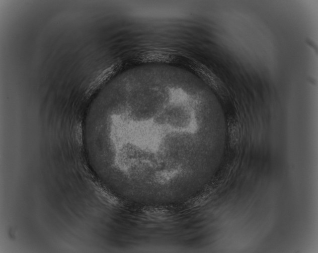 X0000092330729200710051314