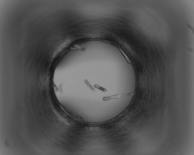 X0000092330730200710051314