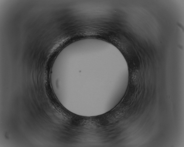 X0000092330732200710051314