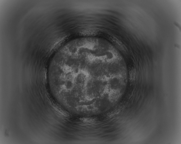 X0000092330733200710051314