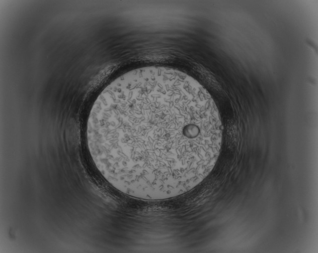 X0000092330734200710051314