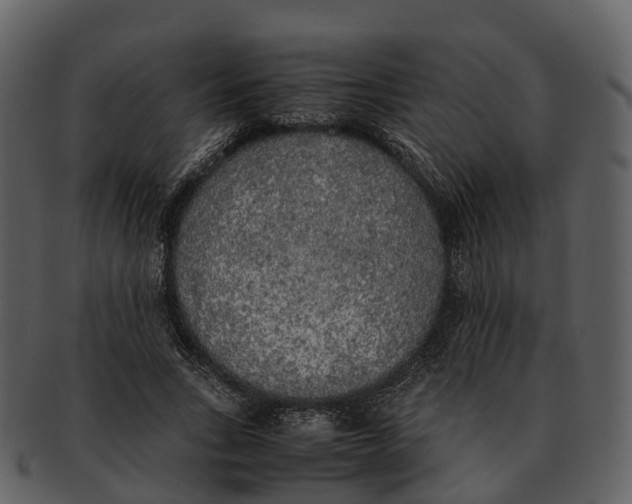 X0000092330735200710051314
