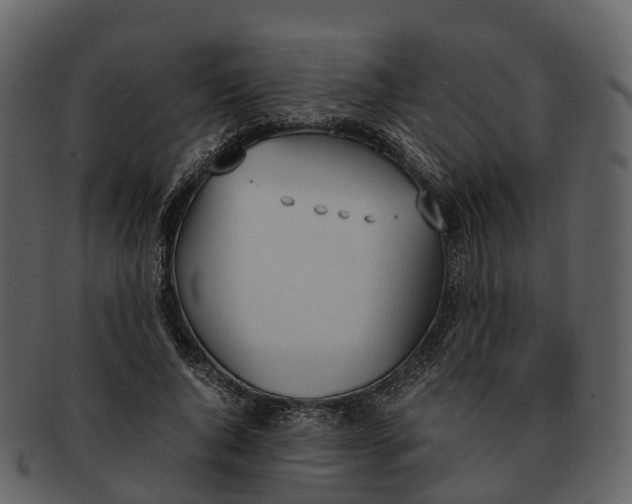 X0000092330736200710051314