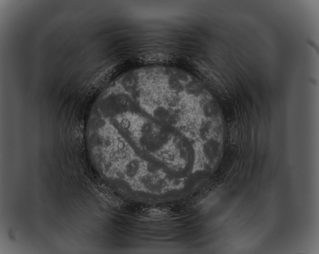 X0000092330737200710051314