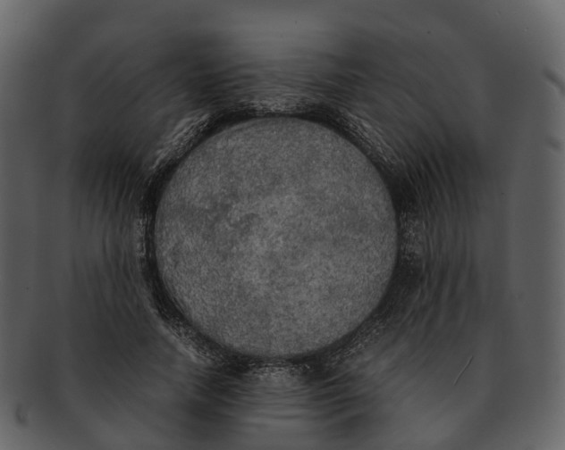 X0000092330738200710051314