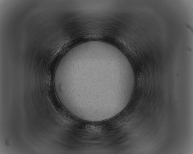 X0000092330739200710051314