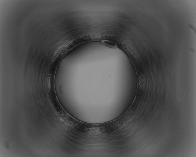X0000092330740200710051314