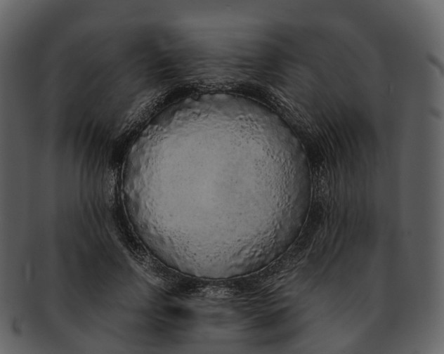 X0000092330742200710051314