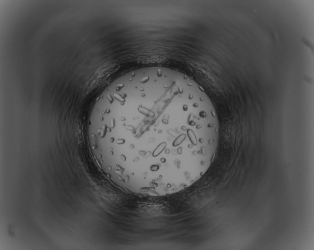 X0000092330743200710051314