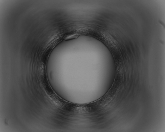 X0000092330744200710051314