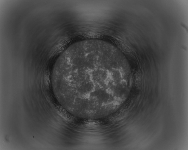 X0000092330746200710051314