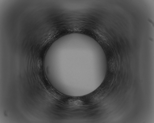 X0000092330747200710051314