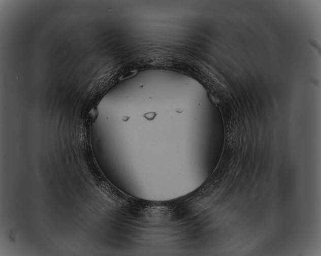 X0000092330748200710051314