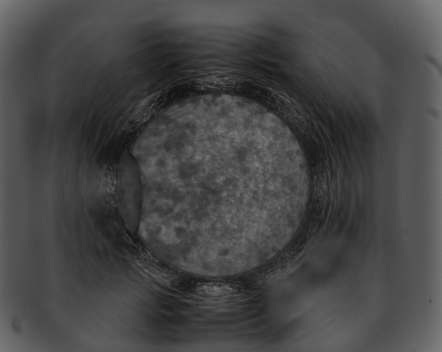 X0000092330749200710051314