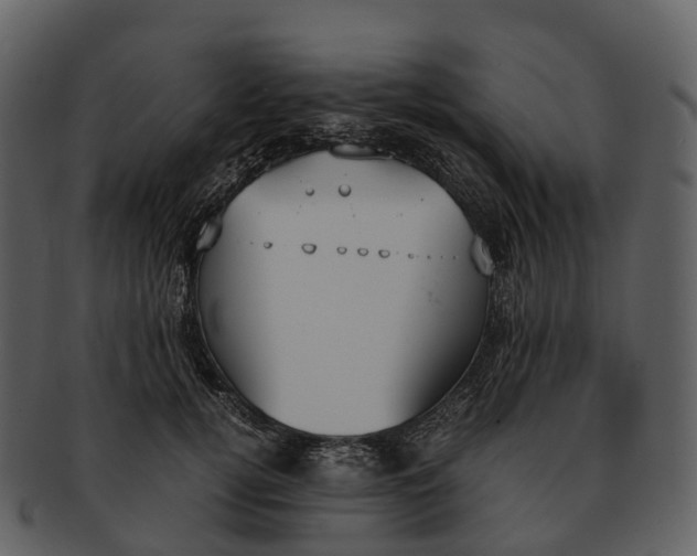 X0000092330752200710051314