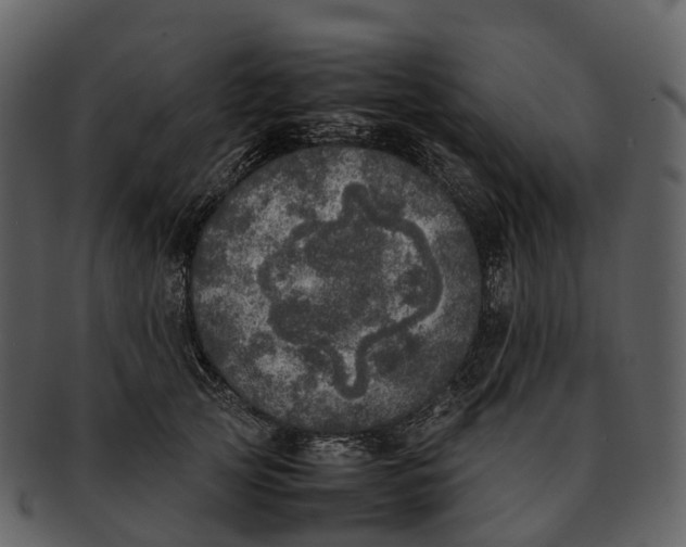 X0000092330753200710051314
