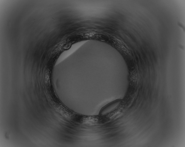 X0000092330754200710051314