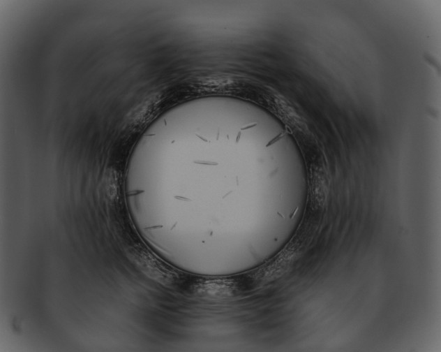 X0000092330758200710051314