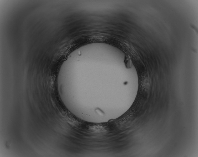 X0000092330759200710051314