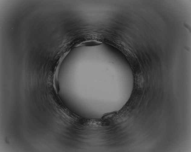 X0000092330760200710051314