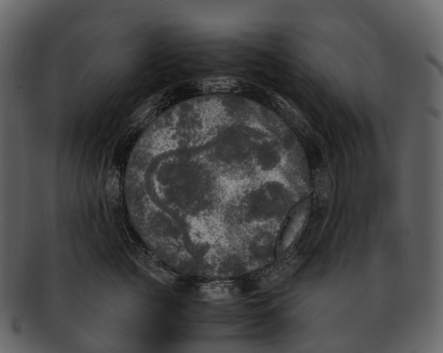 X0000092330761200710051315