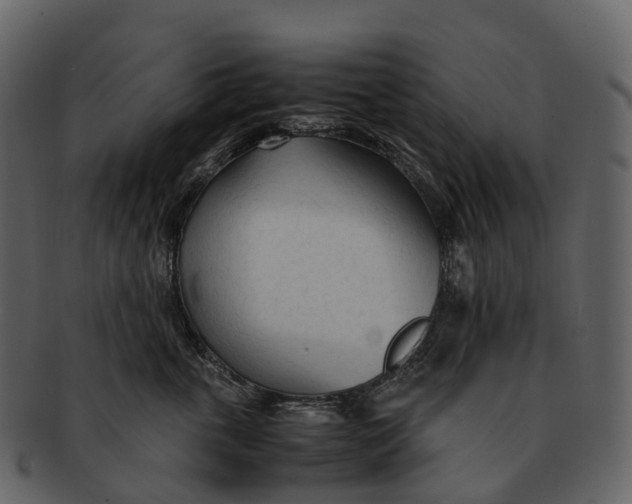 X0000092330763200710051315