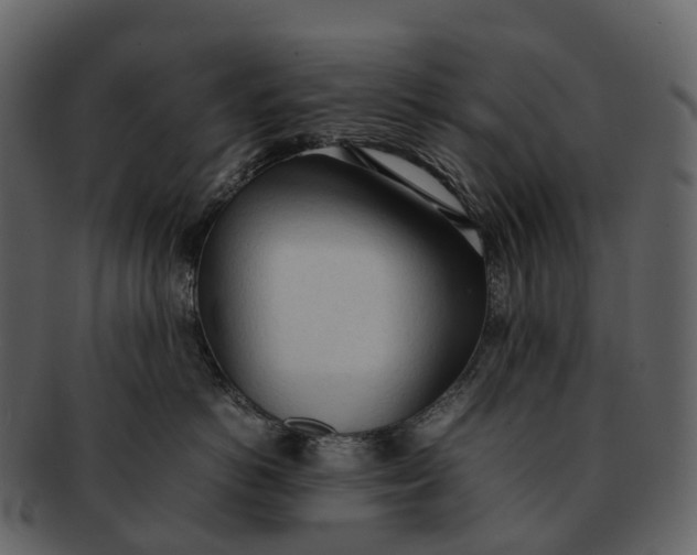 X0000092330766200710051315