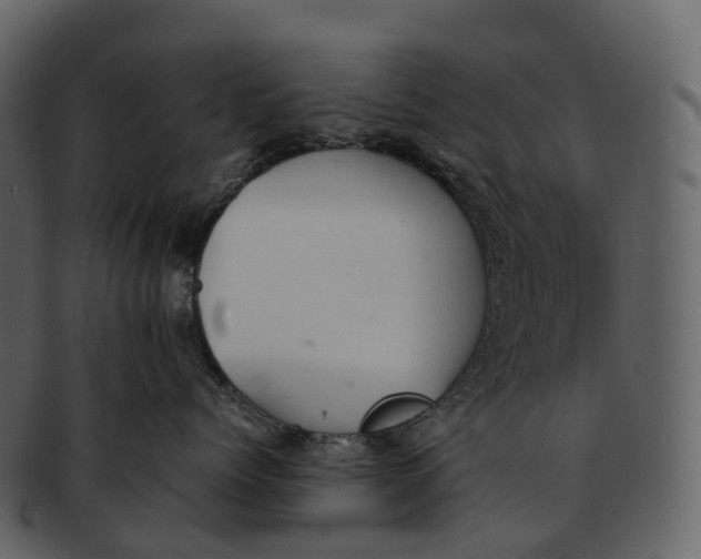 X0000092330768200710051315