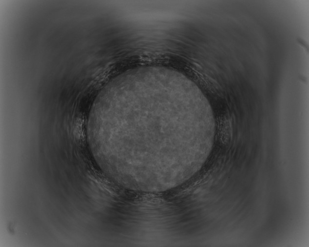 X0000092330770200710051314