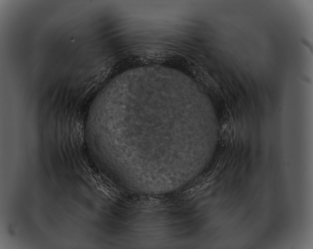 X0000092330772200710051314