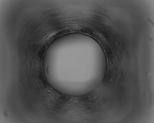 X0000092330773200710051314