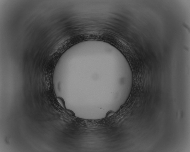 X0000092330774200710051314